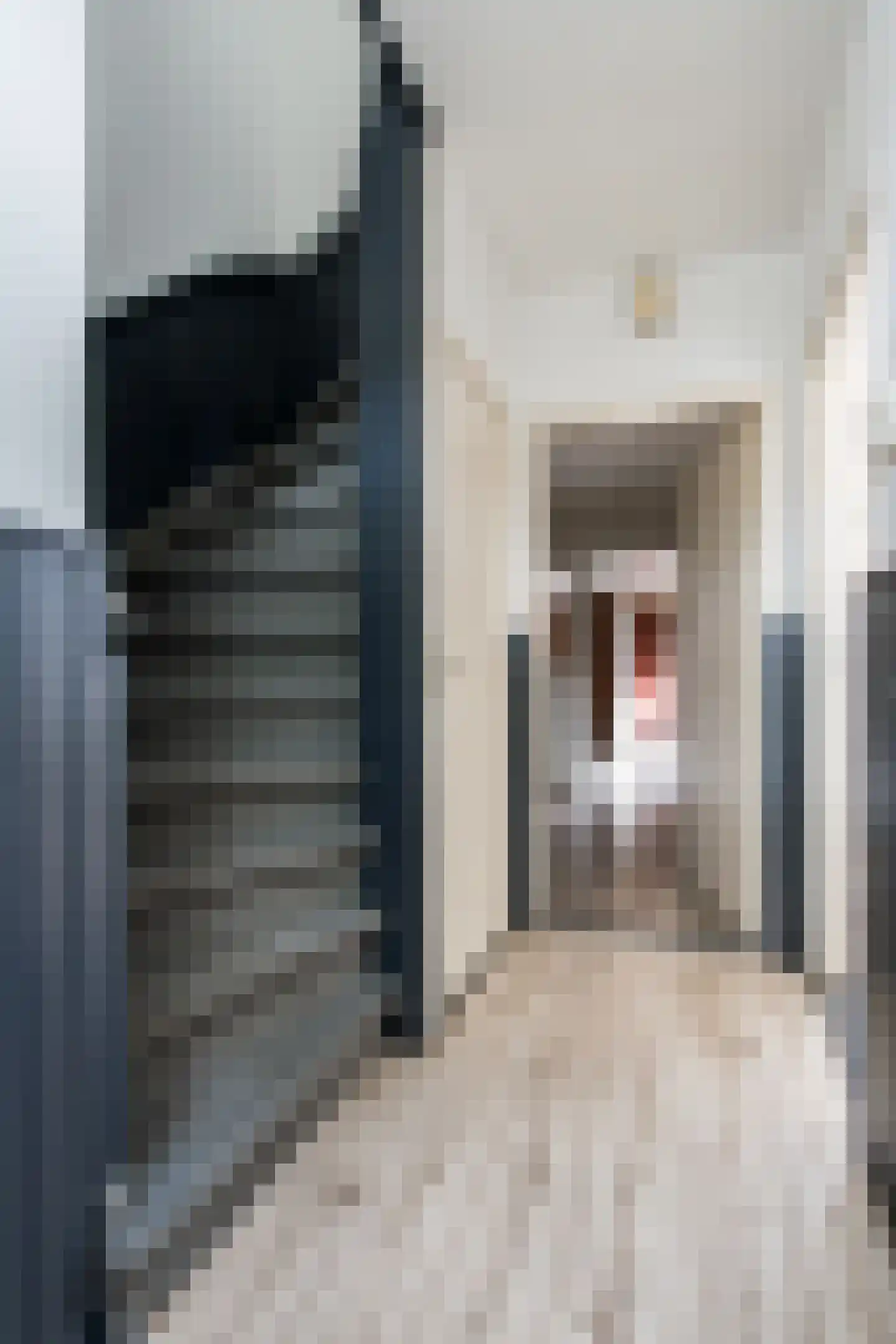 Oegemastraat 3 Genderen thumbnail 9