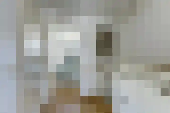 Oegstgeesterweg 20 Rijnsburg thumbnail 19