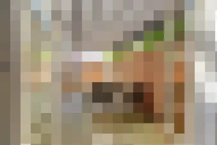 Oegstgeesterweg 20 Rijnsburg thumbnail 31