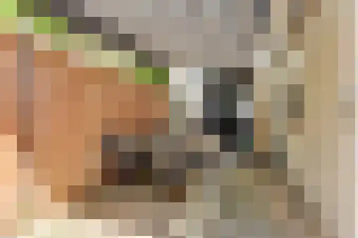 Oegstgeesterweg 20 Rijnsburg thumbnail 32