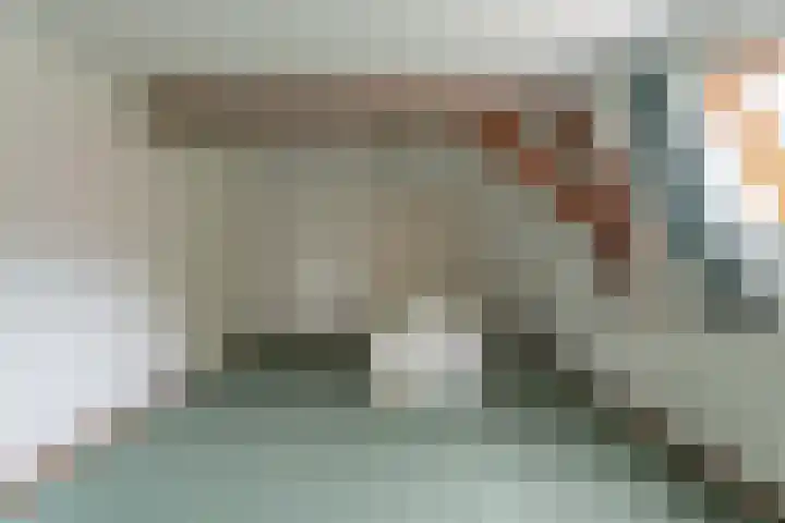 Oegstgeesterweg 225 Rijnsburg thumbnail 34