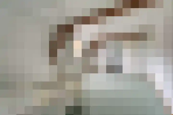 Oegstgeesterweg 225 Rijnsburg thumbnail 35
