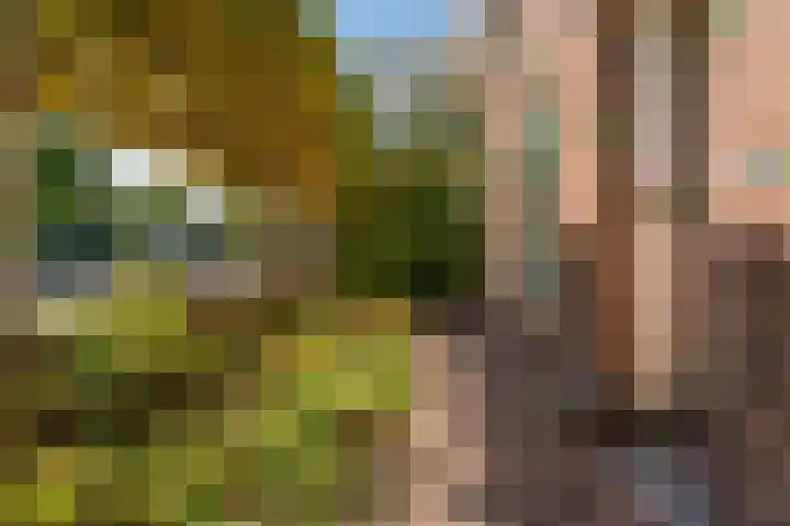 Oegstgeesterweg 225 Rijnsburg thumbnail 39