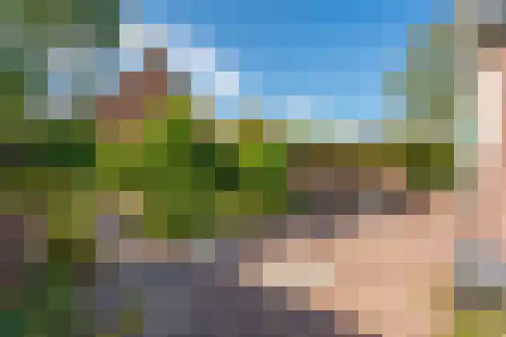 Oegstgeesterweg 225 Rijnsburg thumbnail 40
