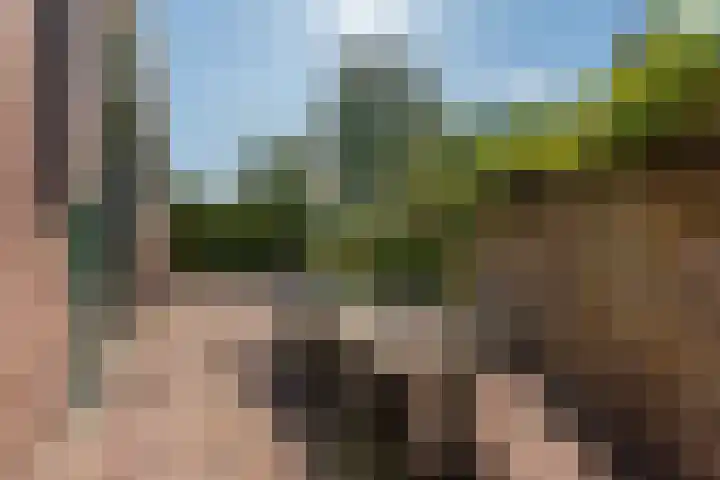 Oegstgeesterweg 225 Rijnsburg thumbnail 41