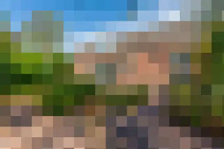 Oegstgeesterweg 225 Rijnsburg thumbnail 42
