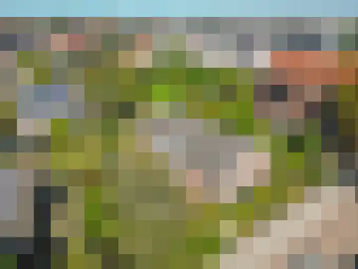 Oegstgeesterweg 225 Rijnsburg thumbnail 47