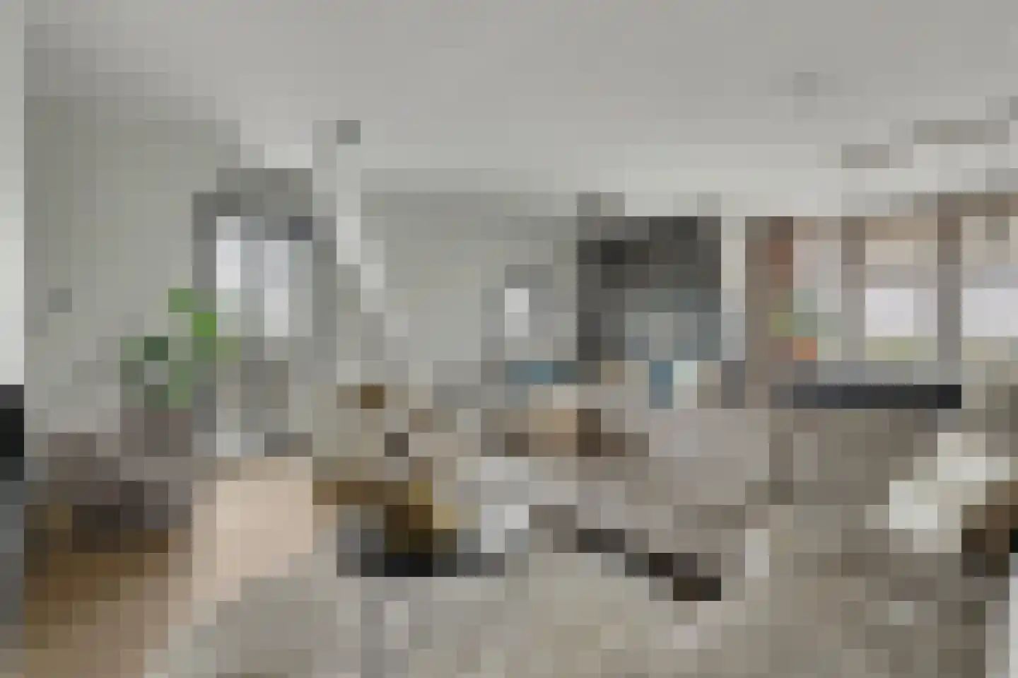 Oegstgeesterweg 23 Rijnsburg thumbnail 17