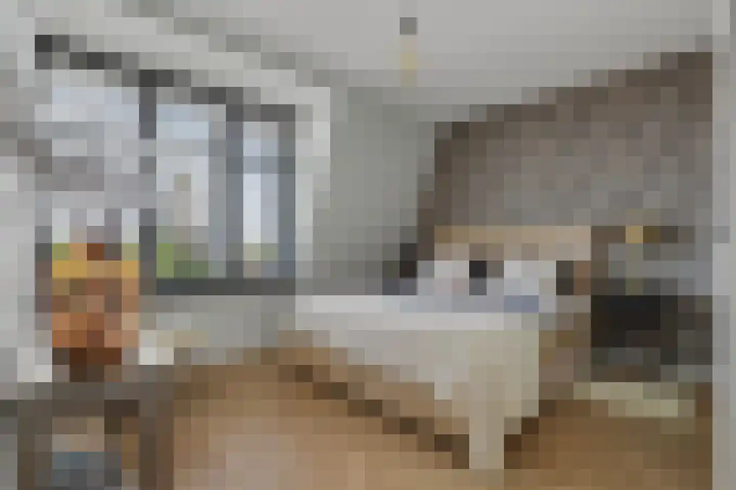 Oegstgeesterweg 23 Rijnsburg thumbnail 4