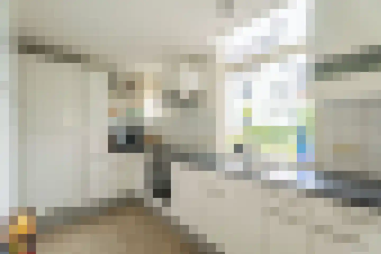 Oegstgeesterweg 277 Rijnsburg thumbnail 10