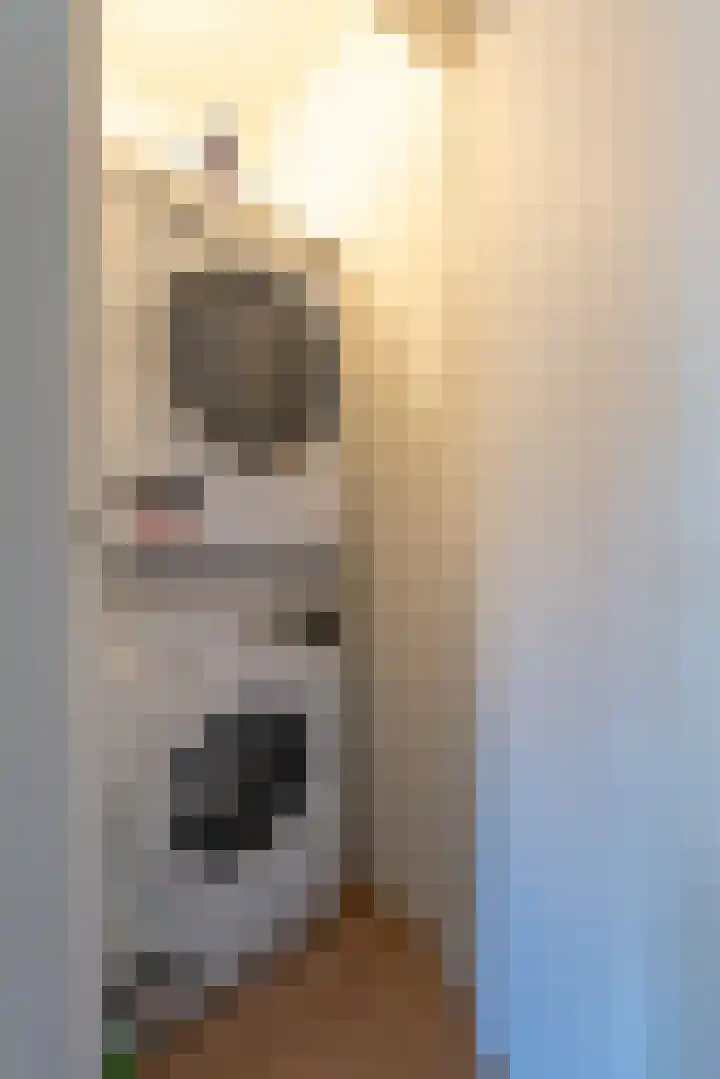 Oegstgeesterweg 3 Rijnsburg thumbnail 14