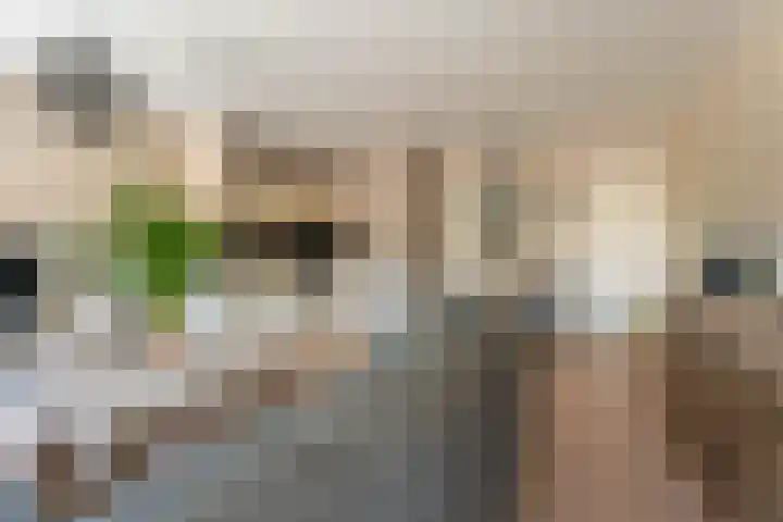 Oegstgeesterweg 3 Rijnsburg thumbnail 6