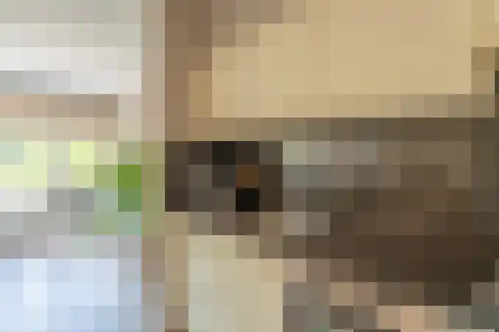 Oegstgeesterweg 3 Rijnsburg thumbnail 8