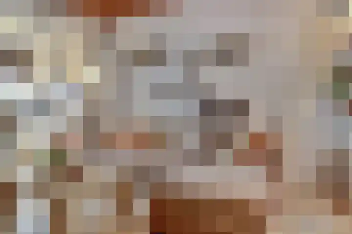 Oegstgeesterweg 4 Rijnsburg thumbnail 17