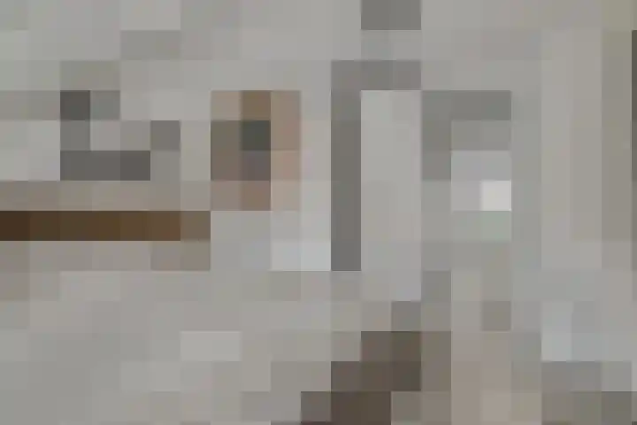 Oegstgeesterweg 4 Rijnsburg thumbnail 31