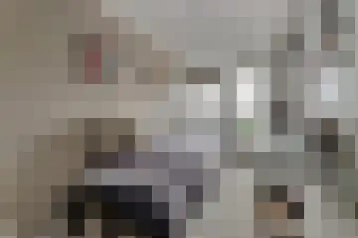 Oegstgeesterweg 4 Rijnsburg thumbnail 34