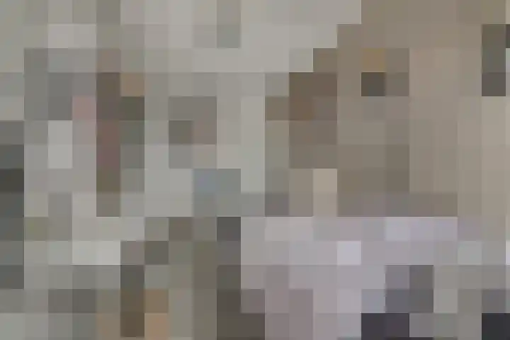 Oegstgeesterweg 4 Rijnsburg thumbnail 35