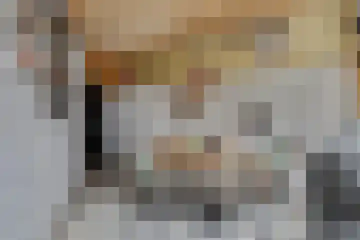 Oegstgeesterweg 4 Rijnsburg thumbnail 39