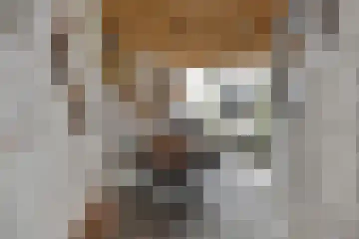 Oegstgeesterweg 4 Rijnsburg thumbnail 40