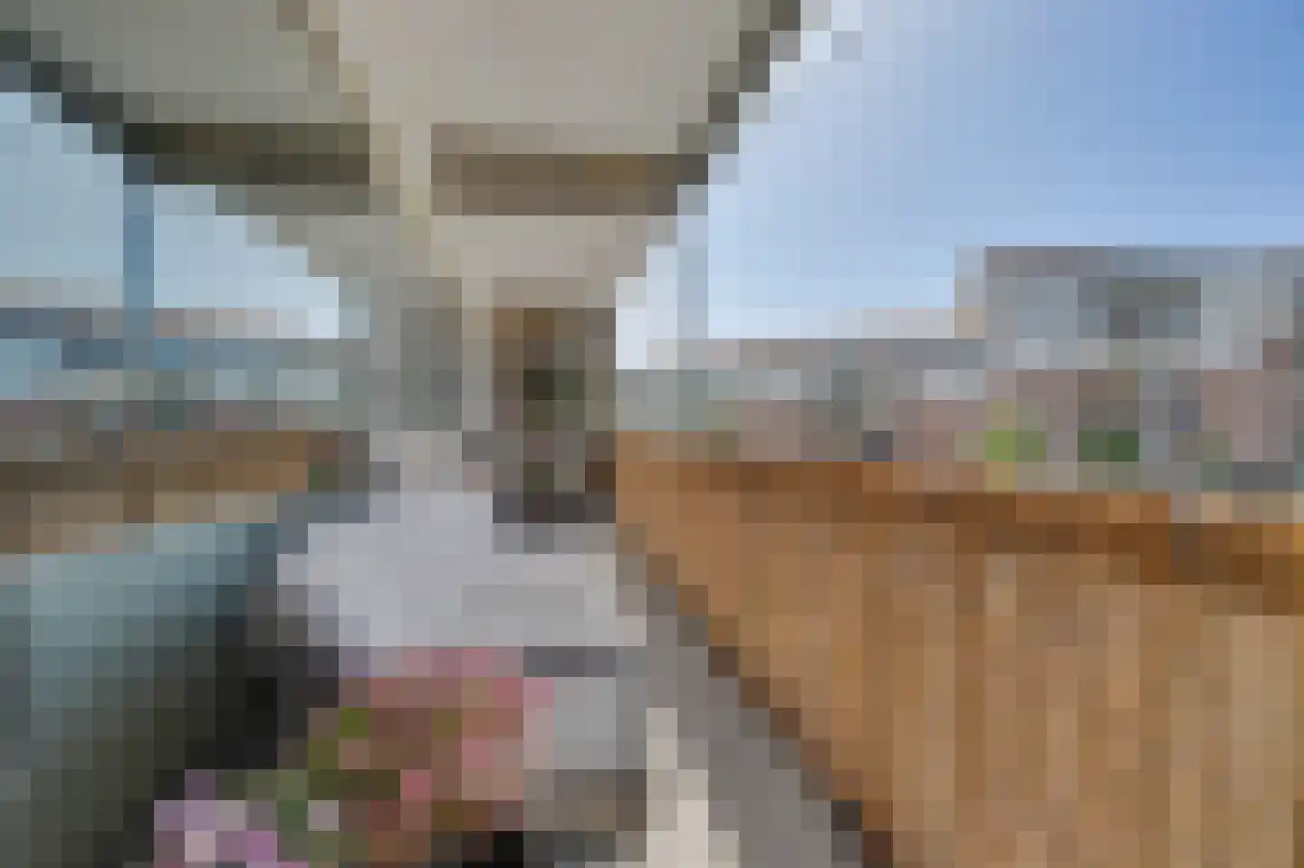 Oegstgeesterweg 78 Rijnsburg thumbnail 6