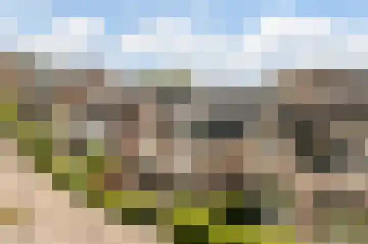 Oegstgeesterweg 81 Rijnsburg thumbnail 68