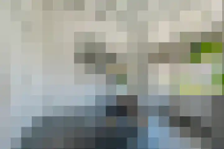 Oegstgeesterweg 81 Rijnsburg thumbnail 8