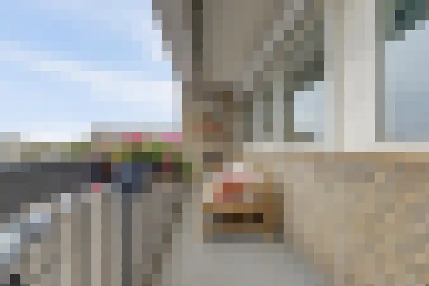 Oegstgeesterweg 98 Rijnsburg thumbnail 17