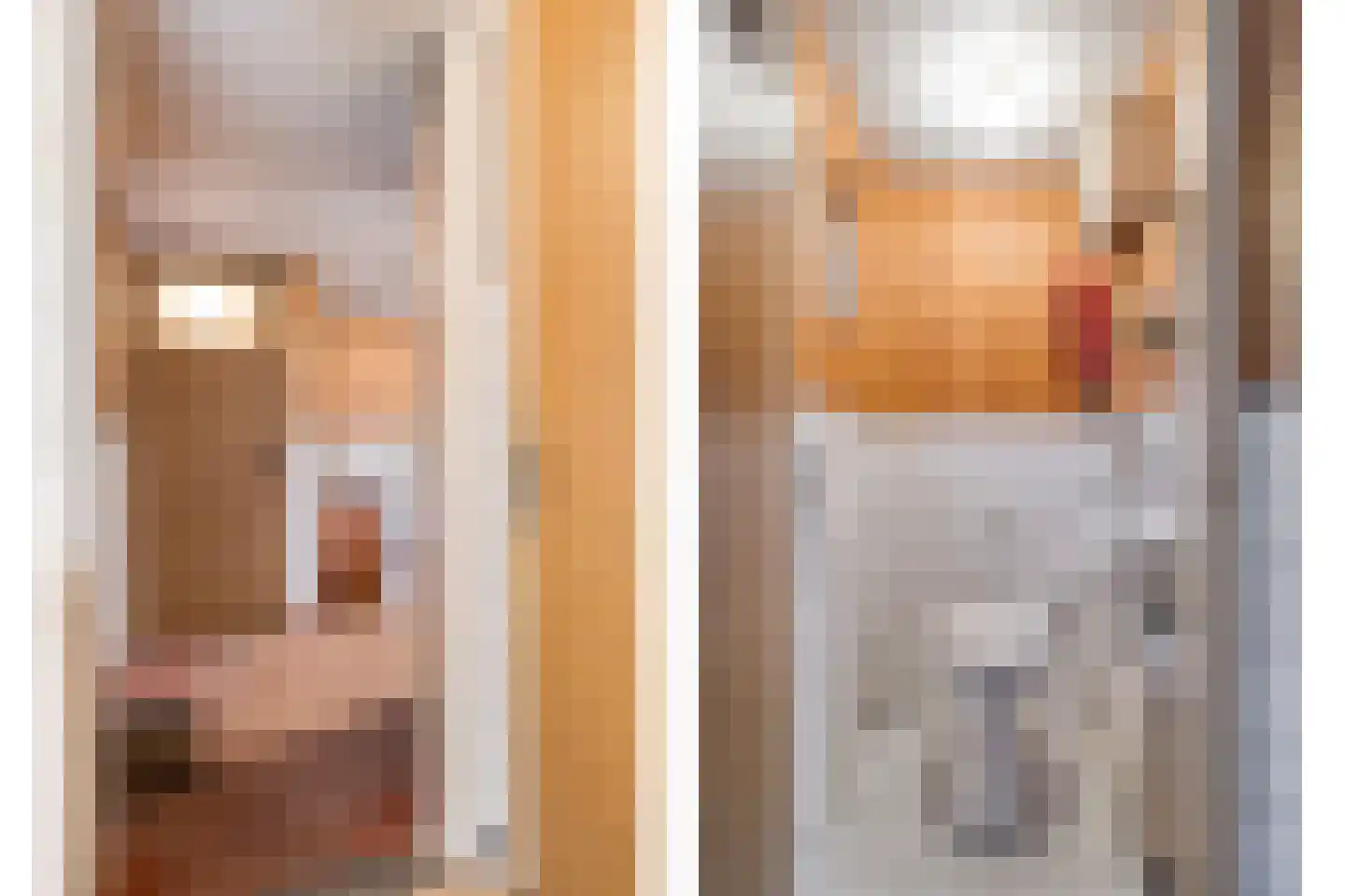 Oegstgeestsestraat 16 Berlicum thumbnail 10