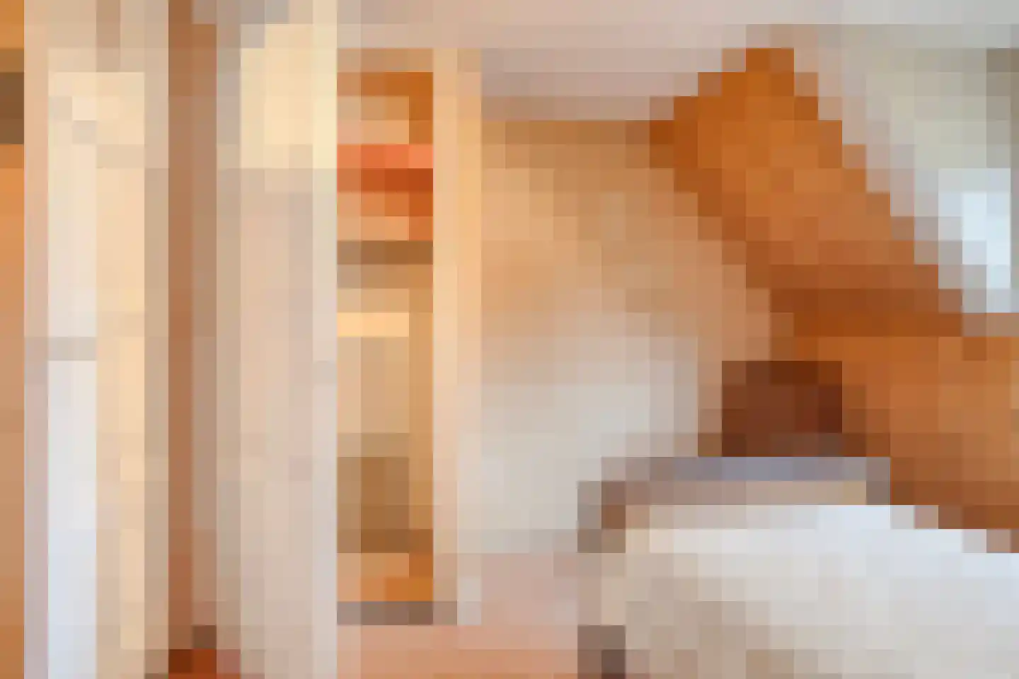 Oegstgeestsestraat 16 Berlicum thumbnail 18