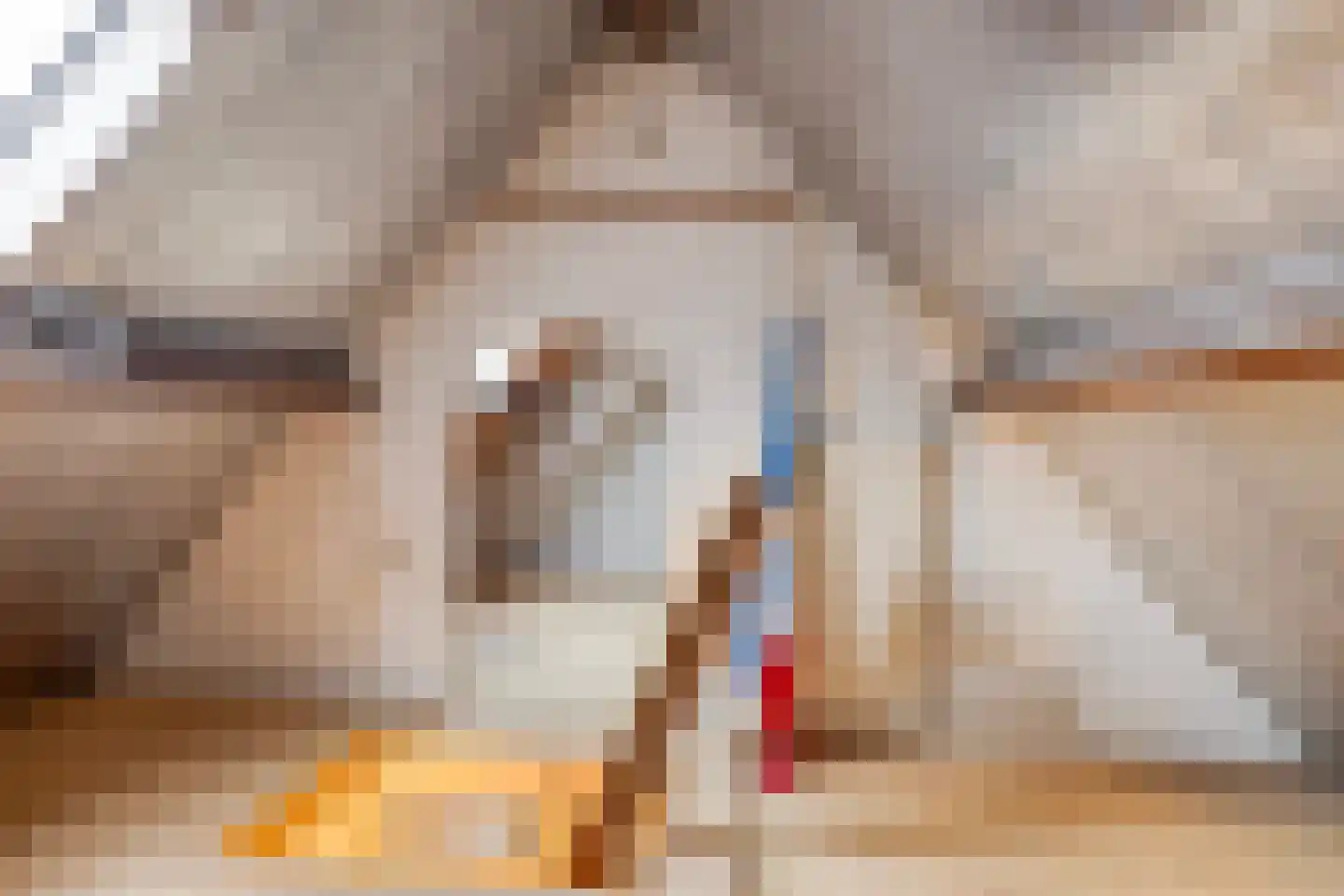 Oegstgeestsestraat 16 Berlicum thumbnail 19
