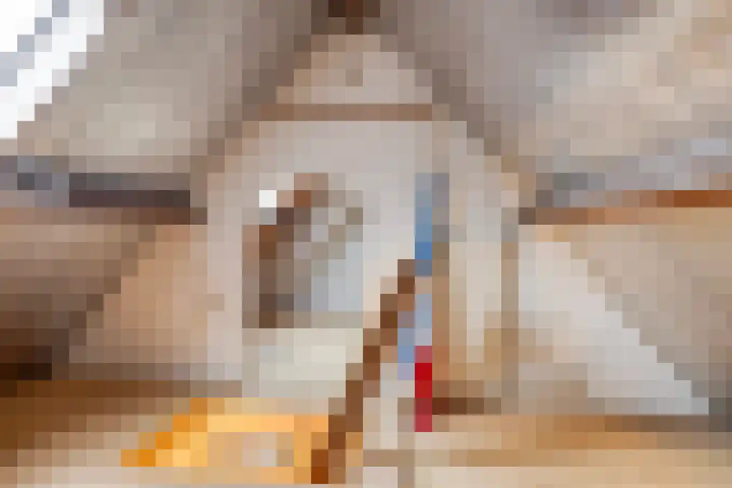 Oegstgeestsestraat 16 Berlicum thumbnail 19