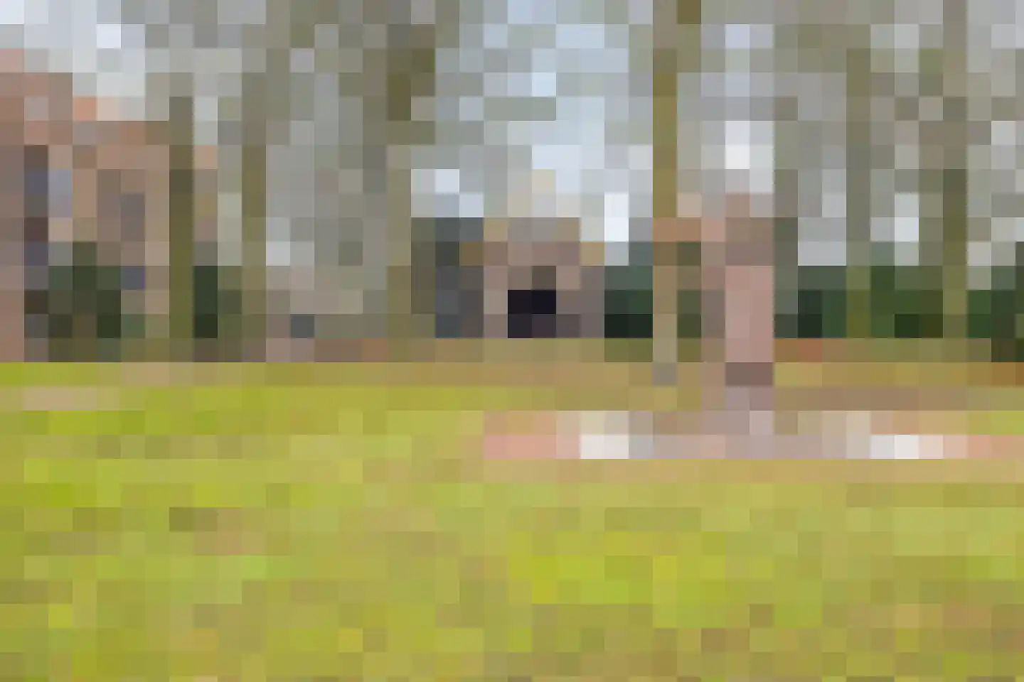 Oegstgeestsestraat 16 Berlicum thumbnail 26