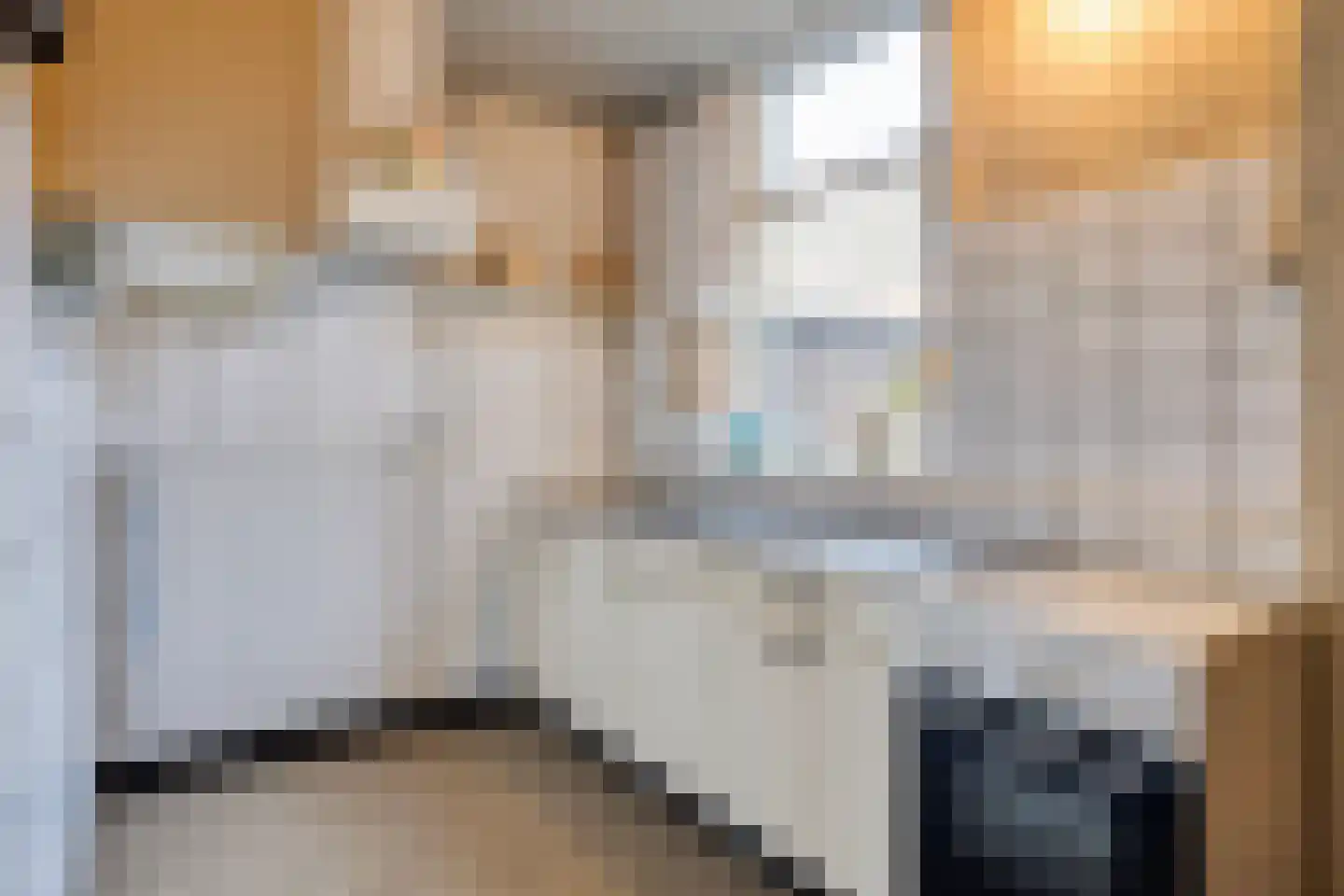 Oegstgeestsestraat 16 Berlicum thumbnail 6