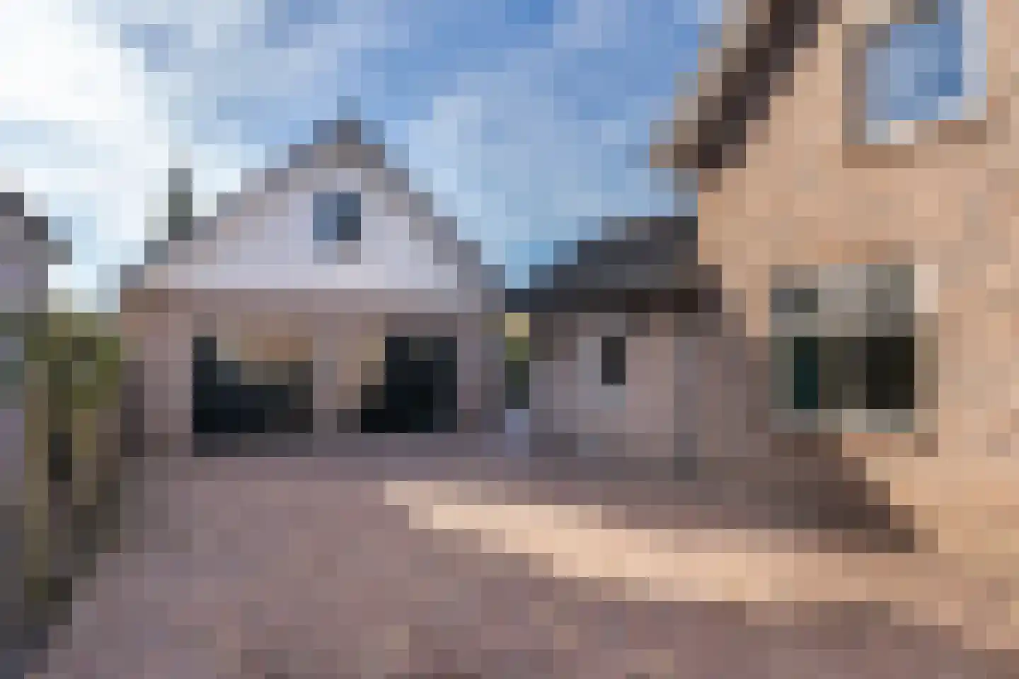 Oegstgeestsestraat 9 Berlicum thumbnail 28