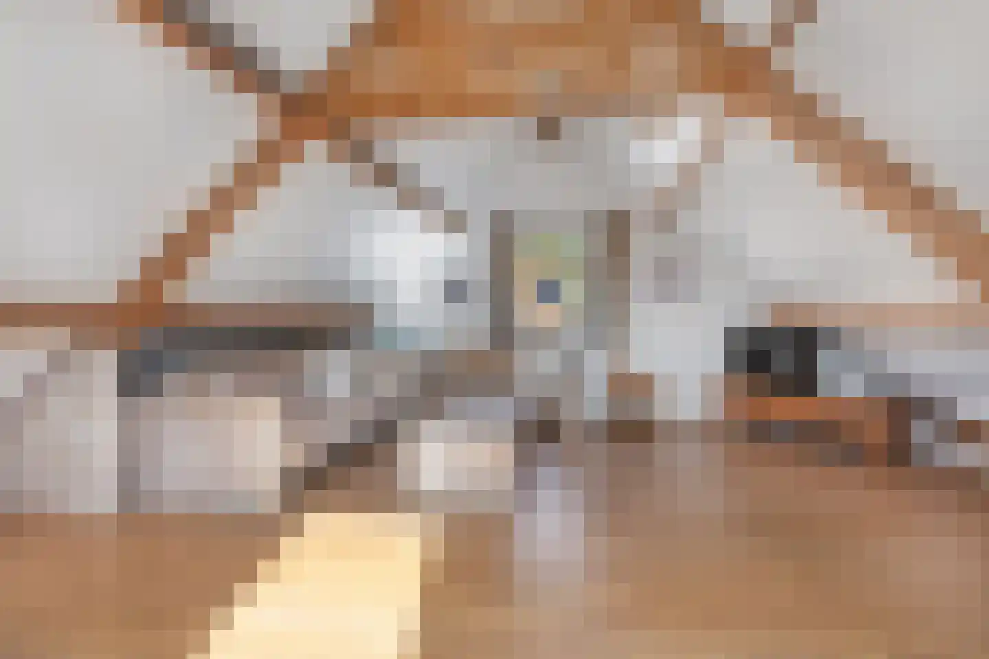 Oegstgeestsestraat 9 Berlicum thumbnail 32