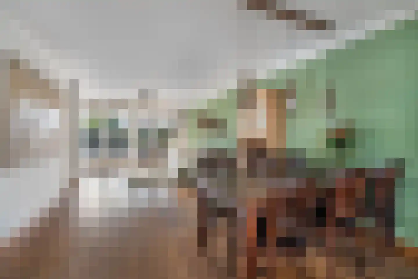 Oegstgeestsestraat 9 Berlicum thumbnail 4