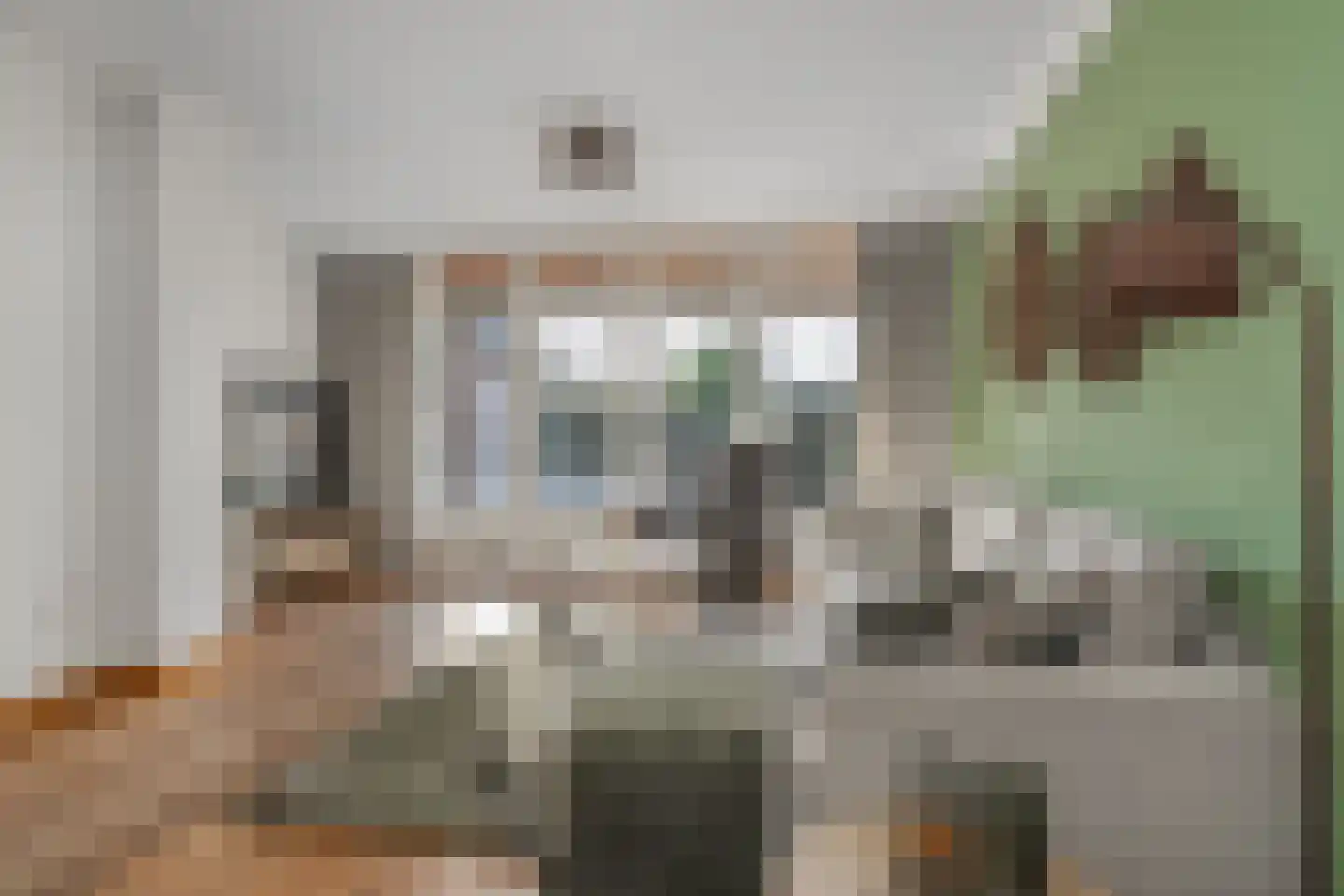 Oegstgeestsestraat 9 Berlicum thumbnail 5