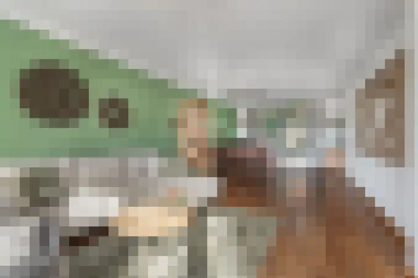 Oegstgeestsestraat 9 Berlicum thumbnail 6