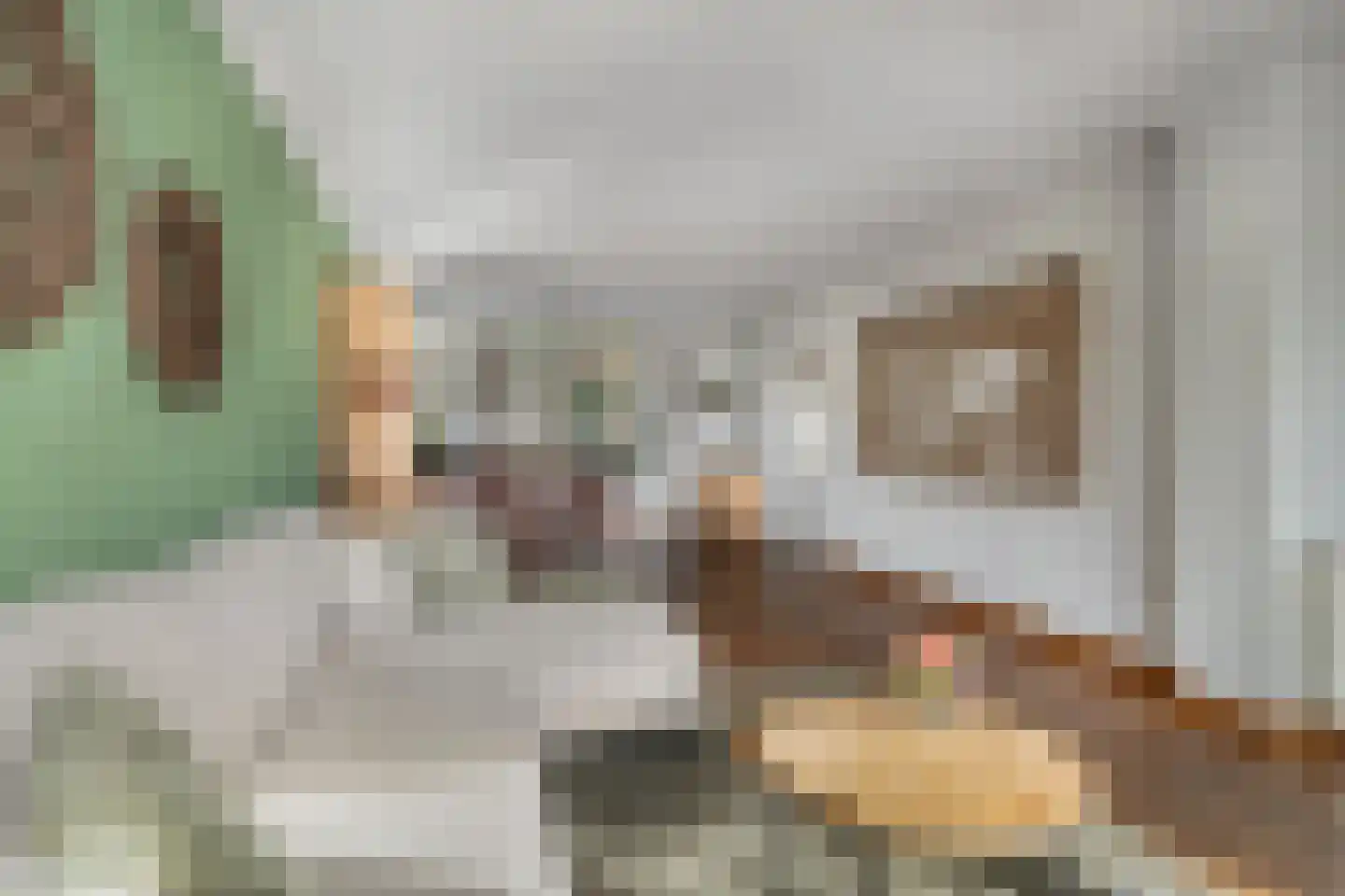 Oegstgeestsestraat 9 Berlicum thumbnail 7