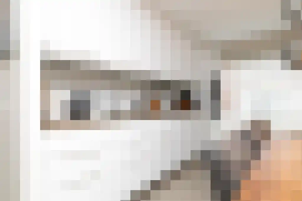 Oegstgeeststraat 189 Tilburg thumbnail 17