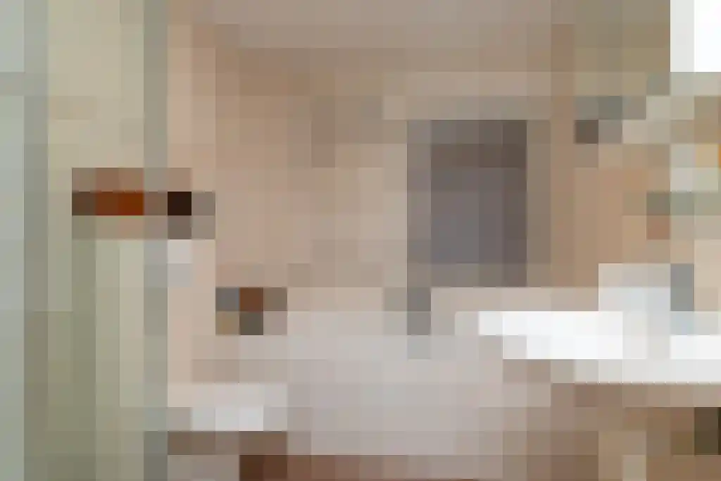 Oegstgeeststraat 189 Tilburg thumbnail 23