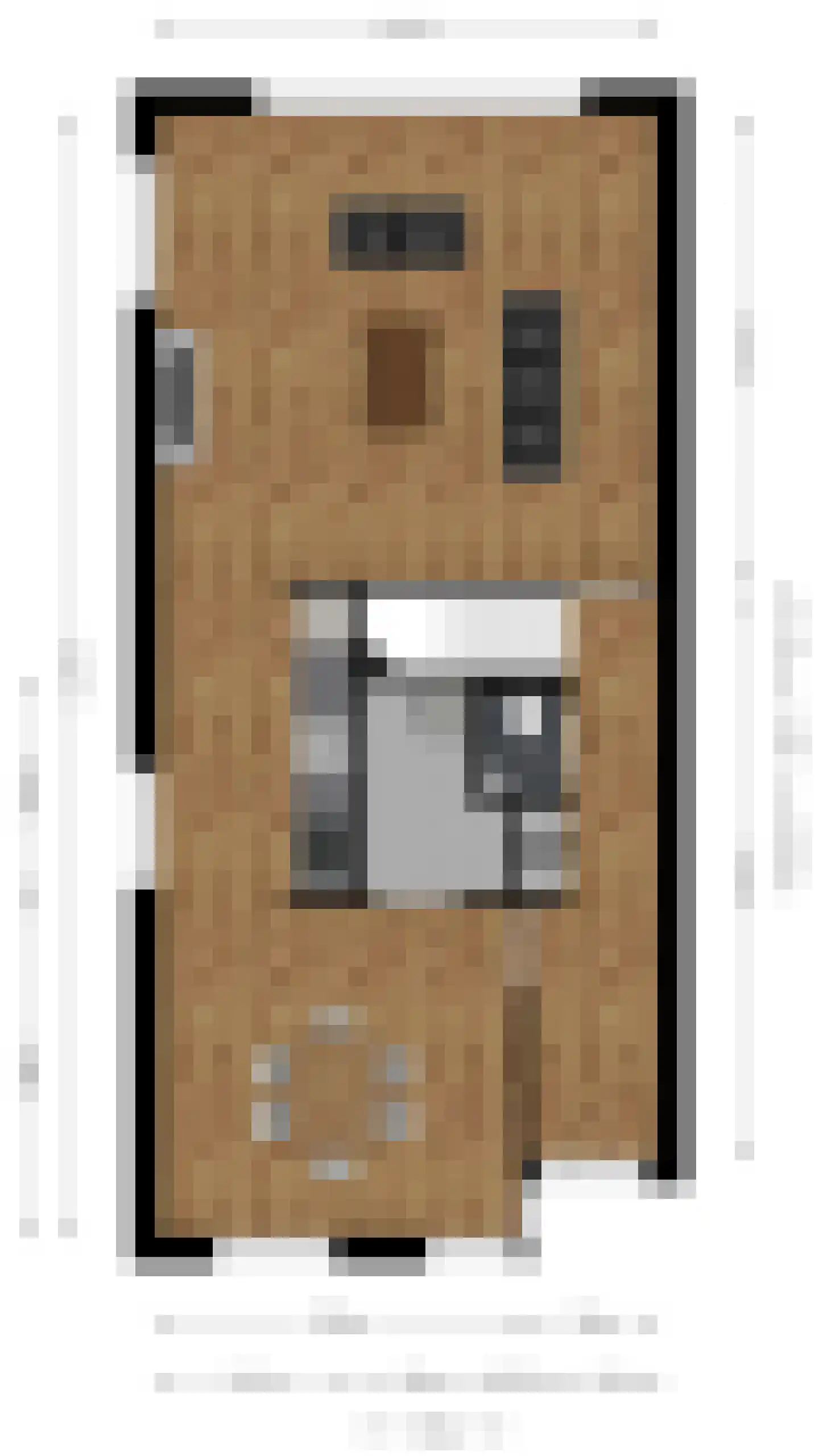 Oegstgeeststraat 271 Tilburg thumbnail 32