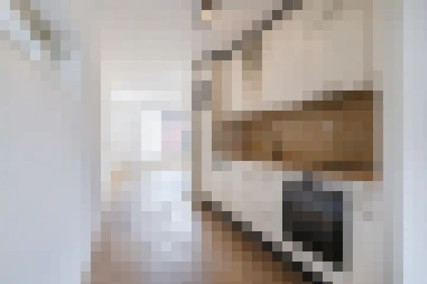 Oegstgeeststraat 271 Tilburg thumbnail 8