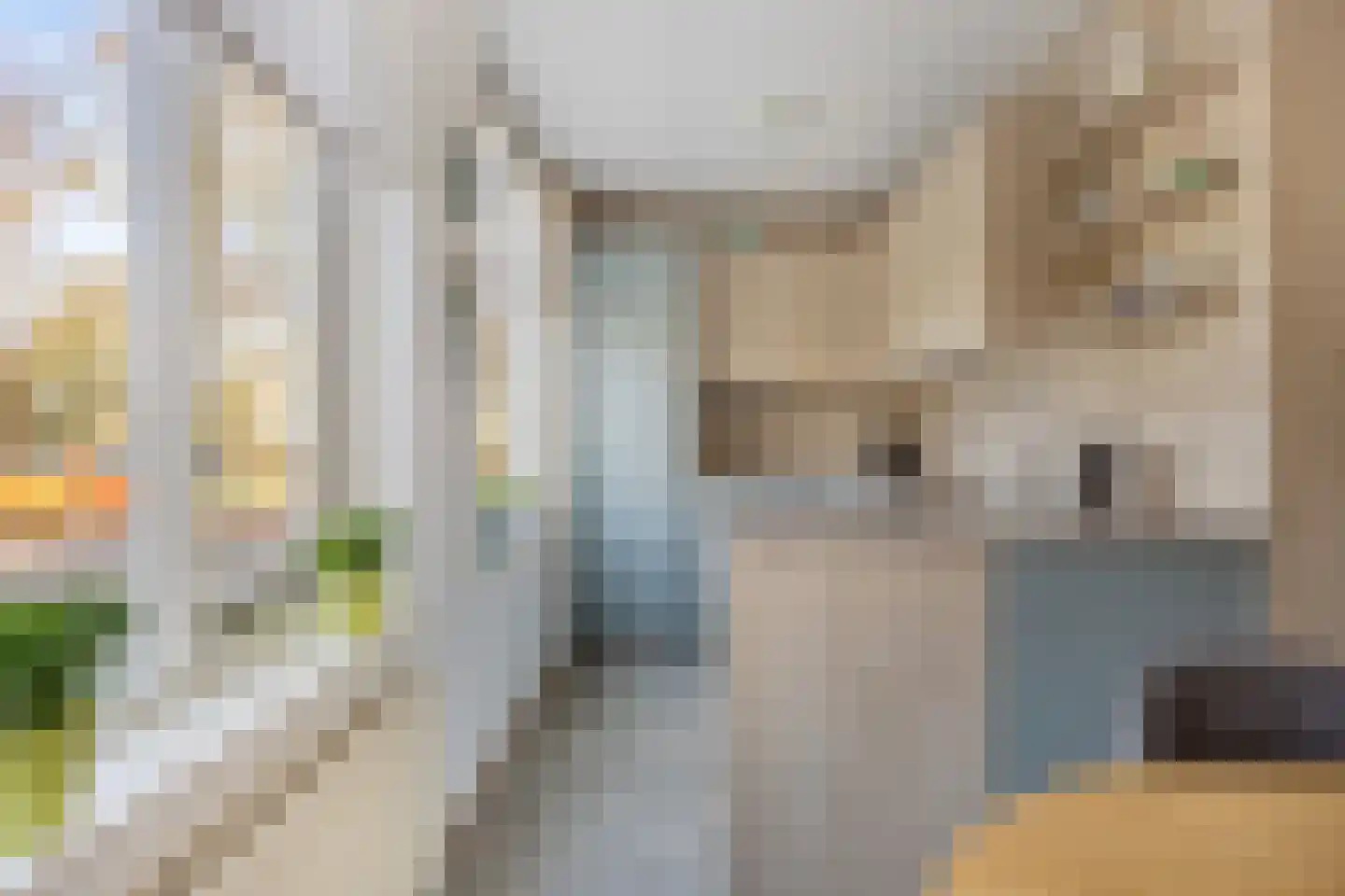 Oegstgeeststraat 5 Arnhem thumbnail 14