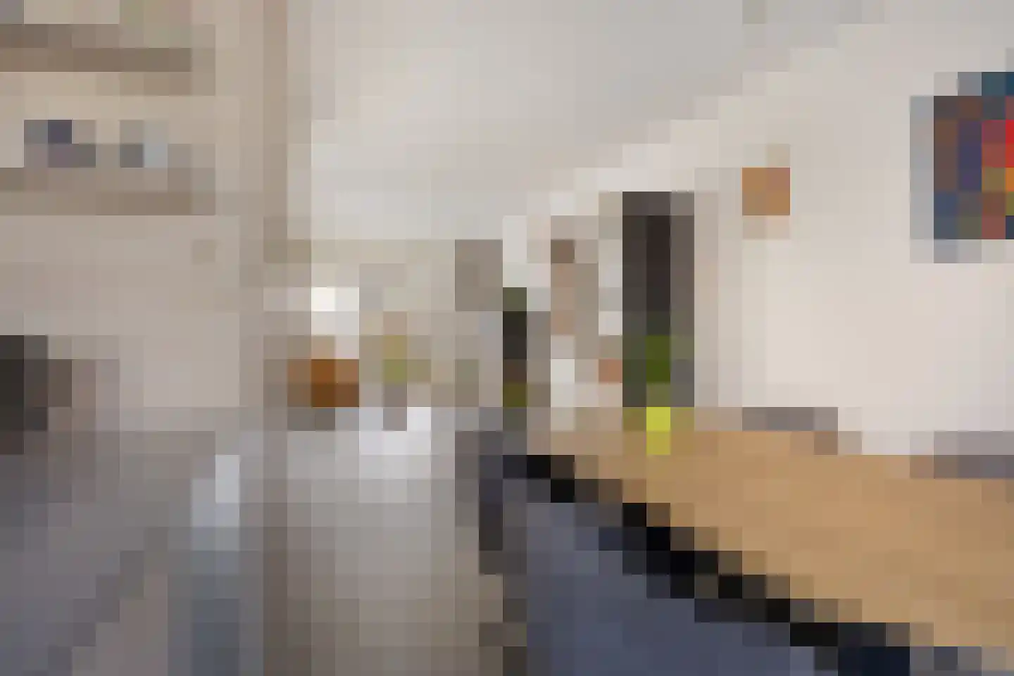 Oegstgeeststraat 5 Arnhem thumbnail 22