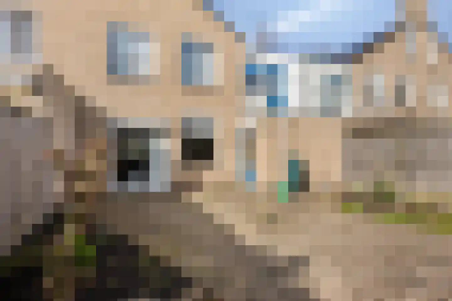Oegstgeeststraat 5 Arnhem thumbnail 39