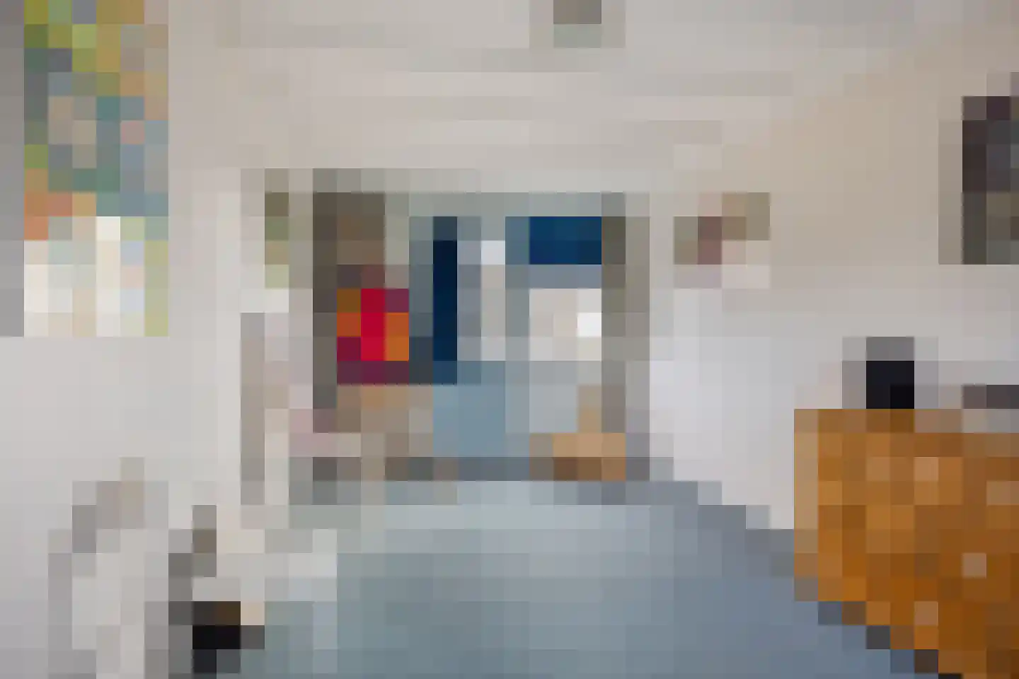 Oegstgeeststraat 5 Arnhem thumbnail 46