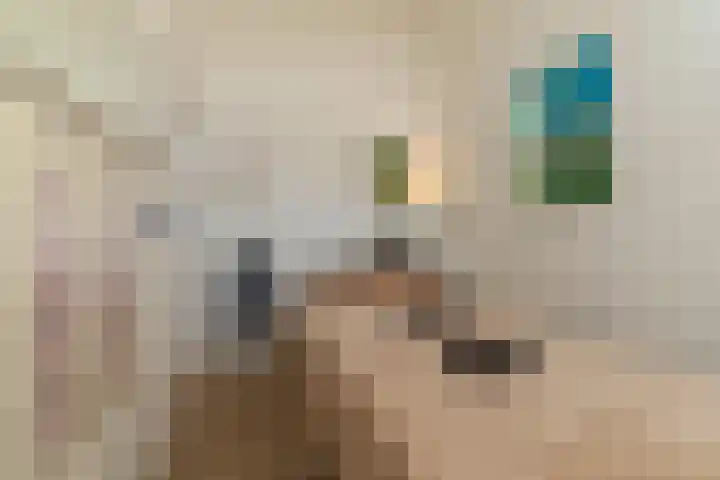 Oegstgeeststraat 53 Tilburg thumbnail 10