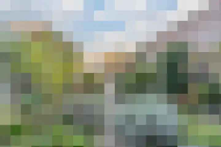 Oegstgeeststraat 53 Tilburg thumbnail 37