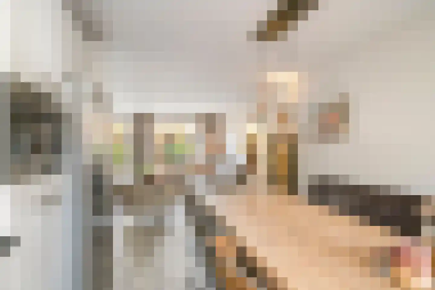 Oegstgeeststraat 55 Tilburg thumbnail 14